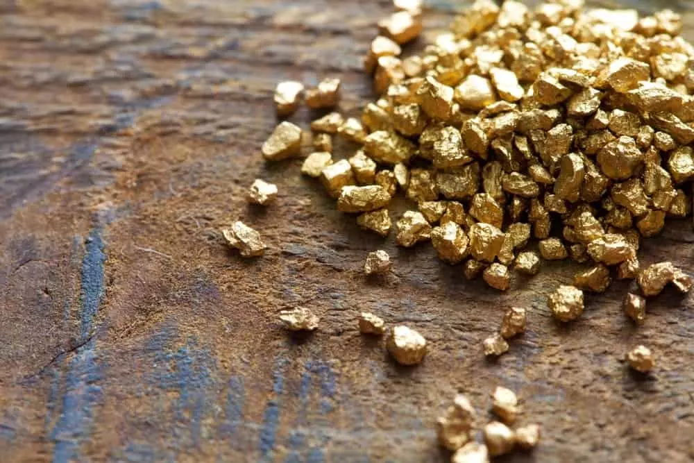 gold in Tennessee - small nuggets on a table