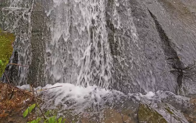 fern branch falls along porters creek trail