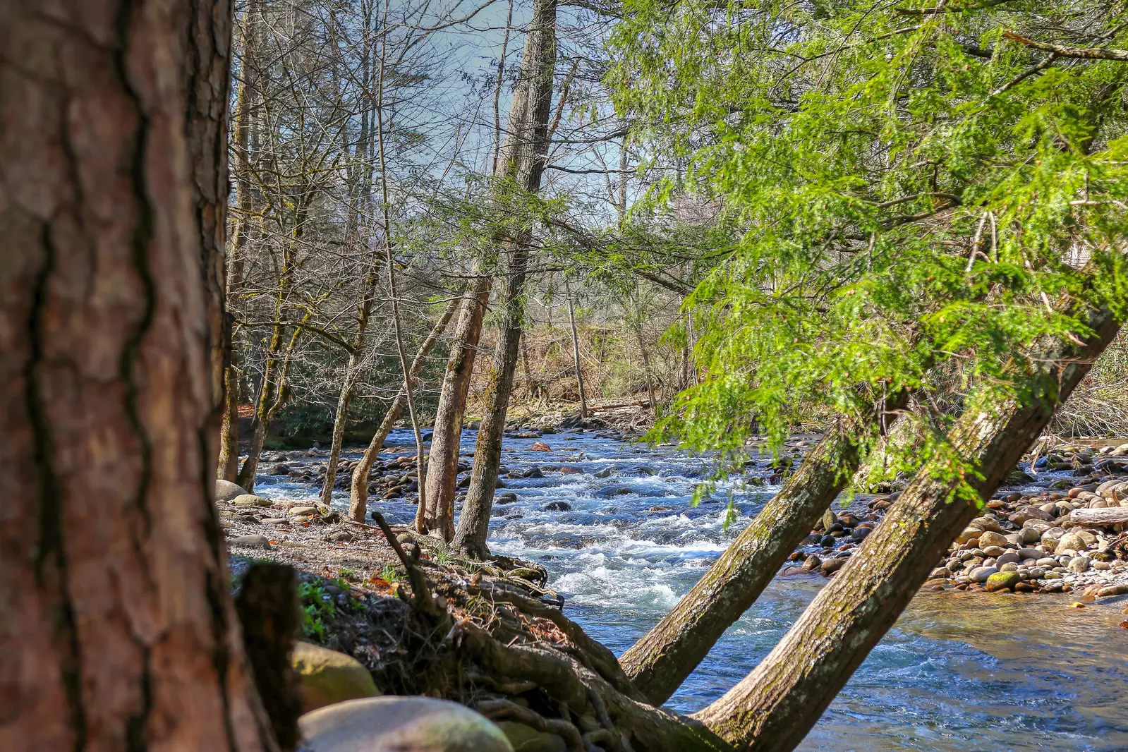 Little Pigeon River