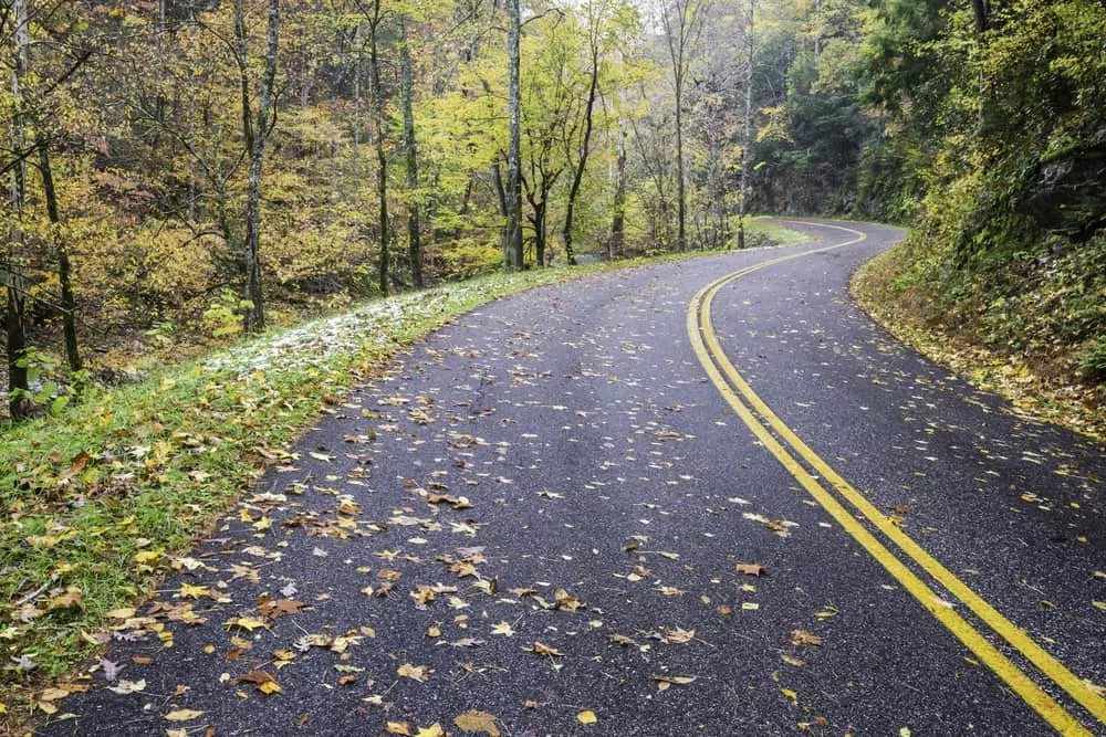 little river road is one of the top drives in the Smoky Mountains