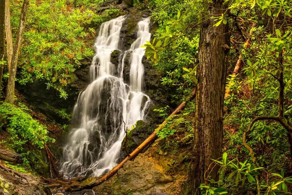 cataract falls trail is one of the best easy hikes in the Smoky Mountains for families