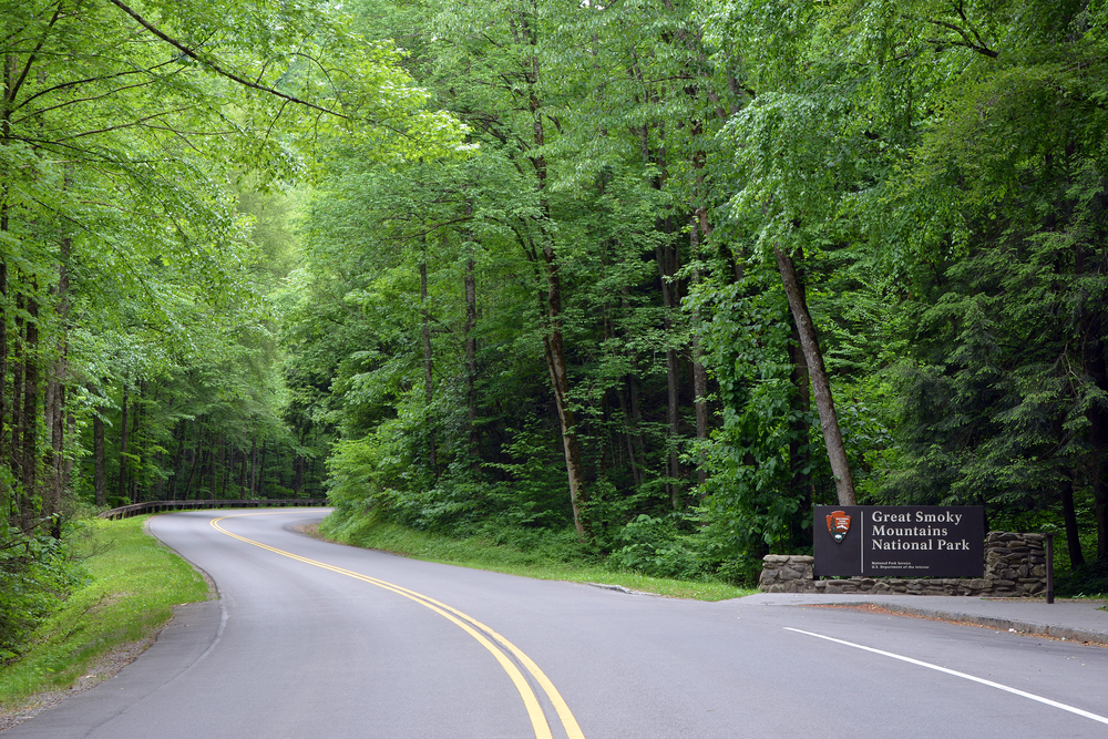 things to do in great smoky mountains national park