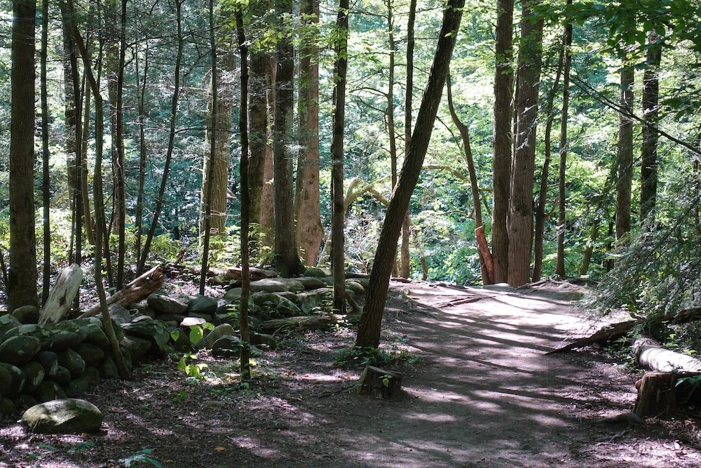 gatlinburg trail is one of the top easy hiking trails in the Smoky Mountains