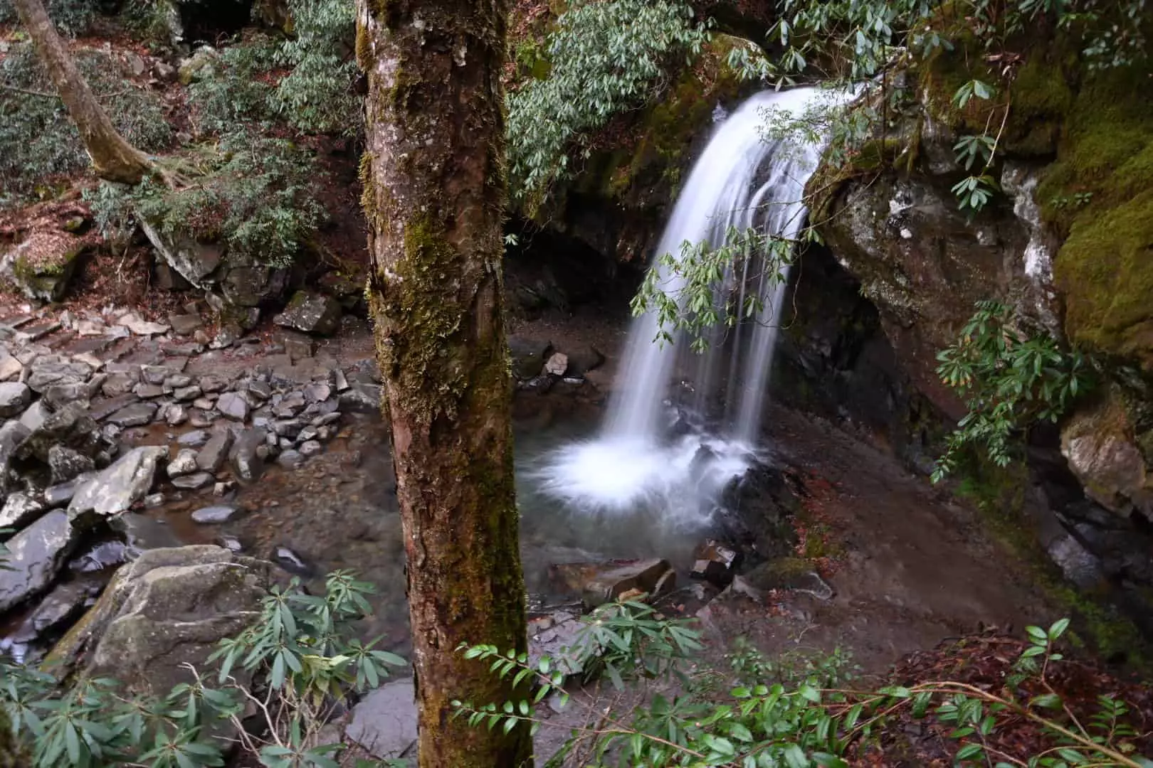grotto falls is one of the best hikes near Gatlinburg TN