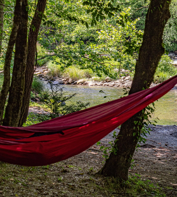 Hammock by the river at Greenbrier Campground
